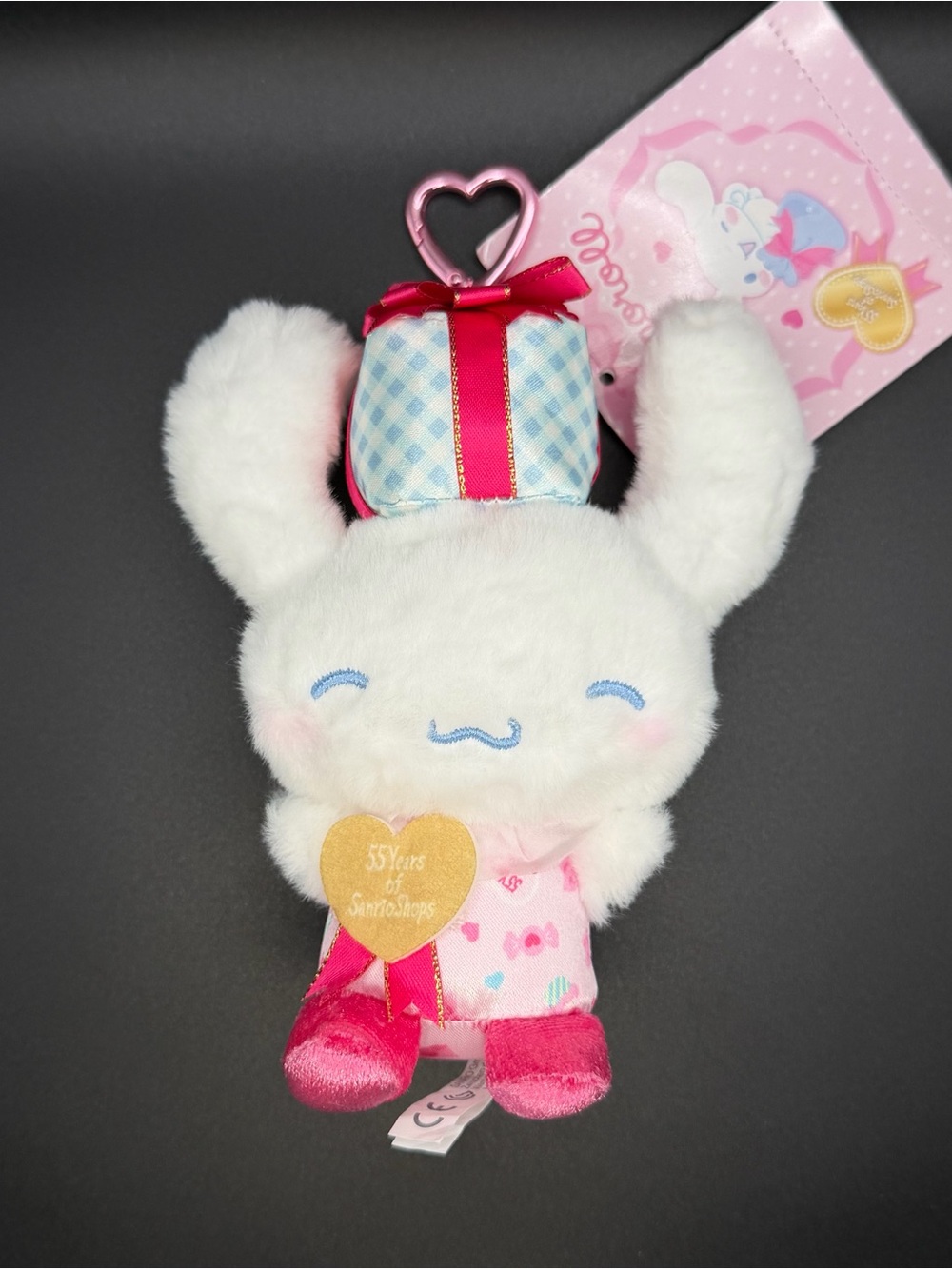 Sanrio The gift series Cinnamoroll Plush/Keychain cn34